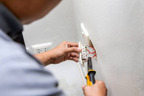 Best Electrical Upgrades for Homes  in Warren, MI